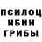 Псилоцибиновые грибы прущие грибы V///I///K///A